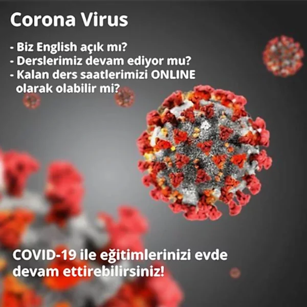 Corona Virus