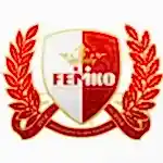 femko biz english